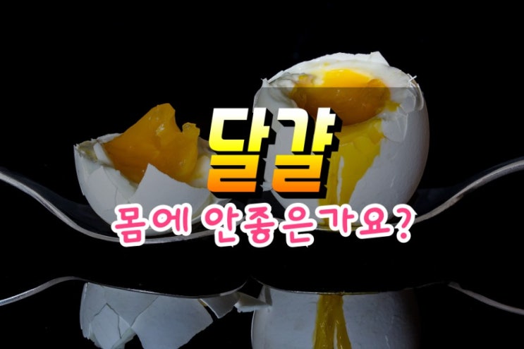  달걀 효능 부작용 보관법 영양분 콜레스테롤 알아보기