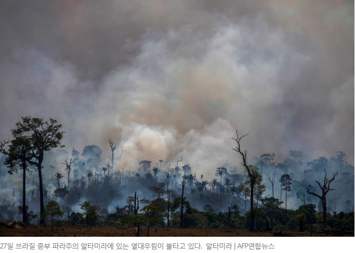  지구의 허파가 공격당하고 있다! "아마존 화재"