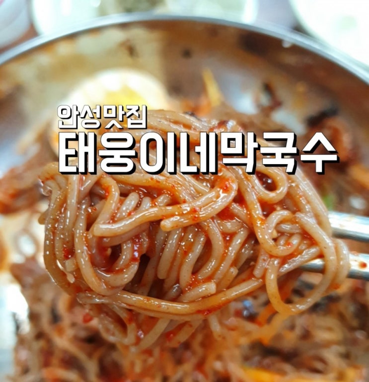  안성 맛집 비빔국수가 맛있는 태웅이네막국수 (풀 뜯어먹는 소리 3 한태웅)