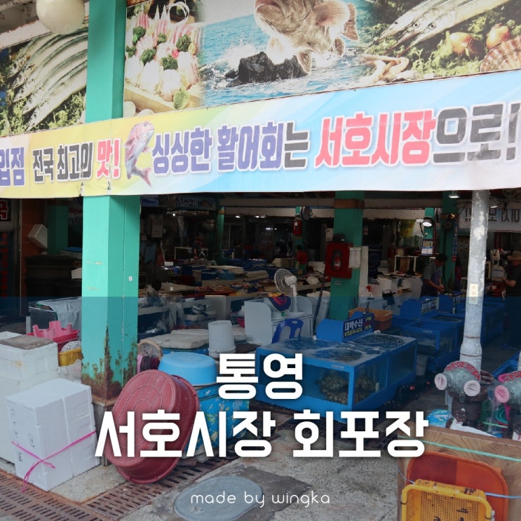  통영 서호시장 회포장 어디서 하지? 가격,횟집 추천