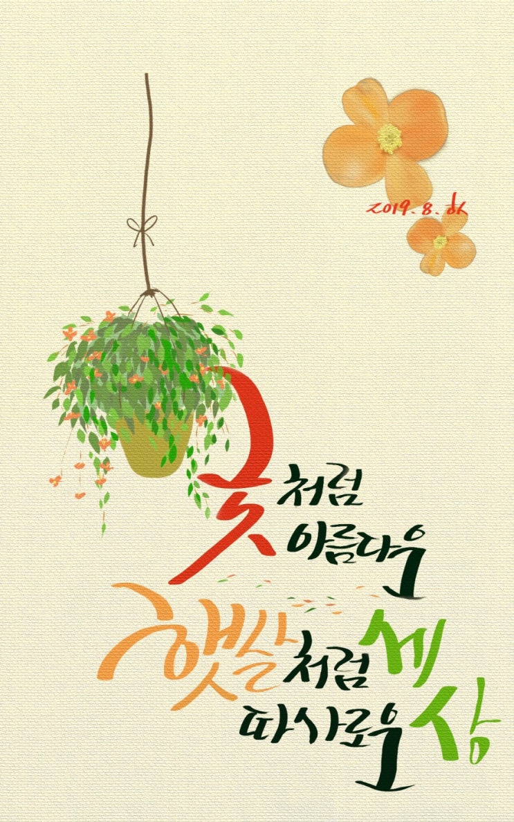  오렌지샤워베고니아