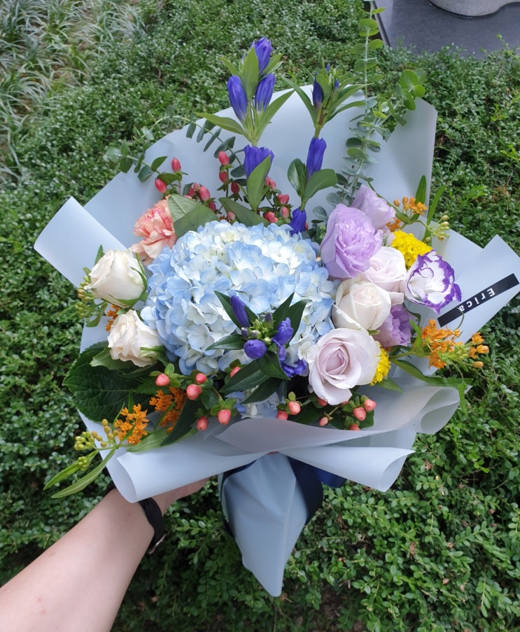  [시청 꽃집, 광화문 꽃집] 에리카플라워 erica 수국 꽃다발