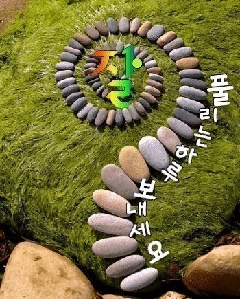 신대구막창 안기점 사진 1