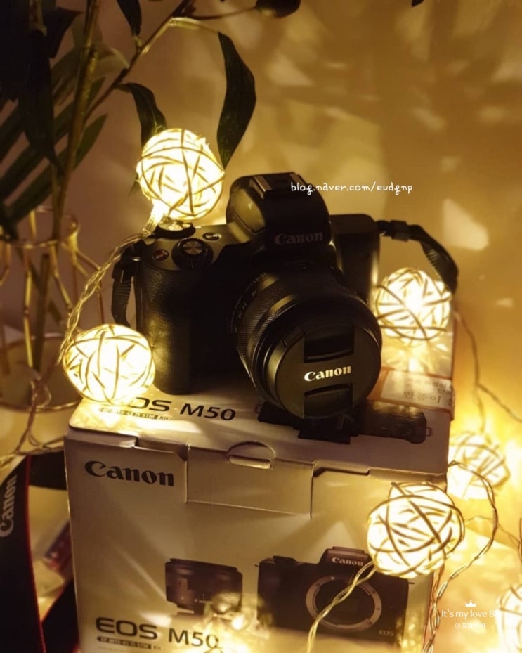 캐논 미러리스 카메라 EOS-M50 / 15-45mm 더블킷 캐논 미러리스 카메라 EOS-M50 / 15-45mm 더블킷