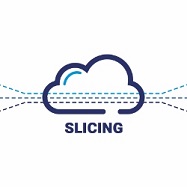 네트워크 용어 정리 & 네트워크 슬라이싱 (Network Slicing) (가상화 / LAN / MAN / WAN / VPN / 이더넷 / 스위치 / 라우터 / SD-WAN)
