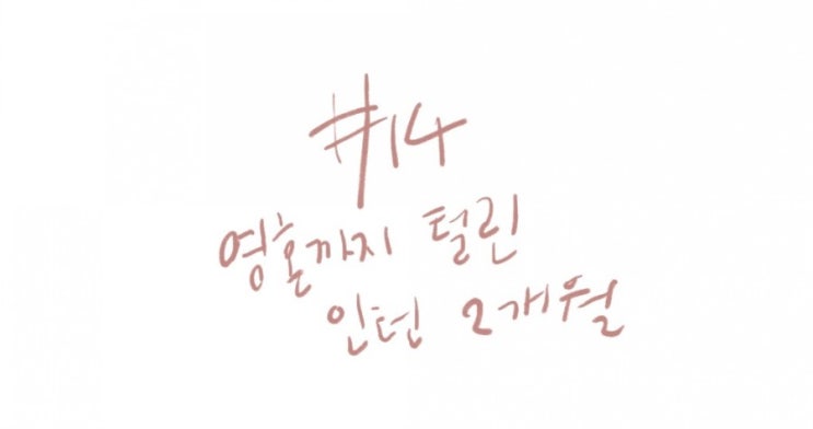  #14 영혼까지 털린 인턴 2개월