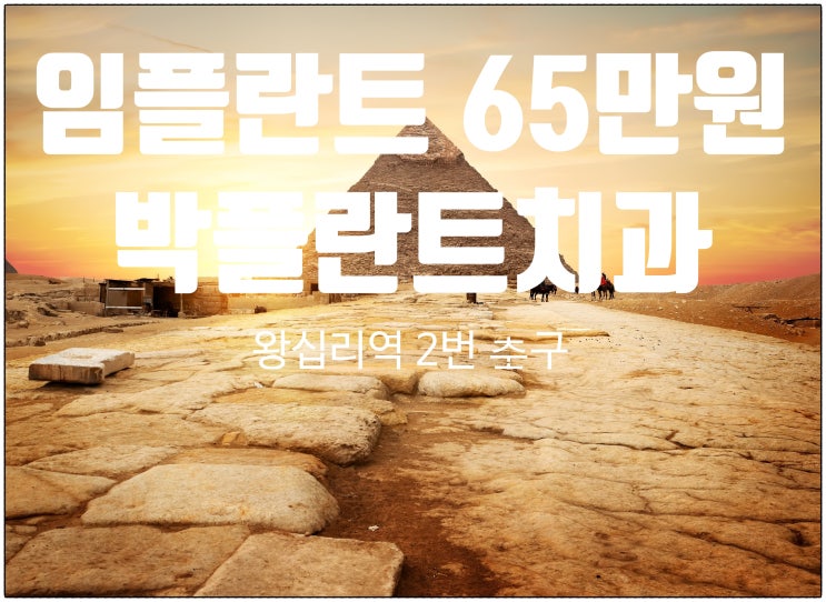  치과 엑스레이 CT 파노라마 비용