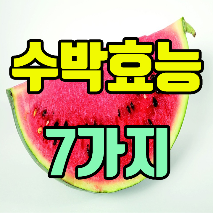 수박 효능 이제는 제대로 알고 먹자