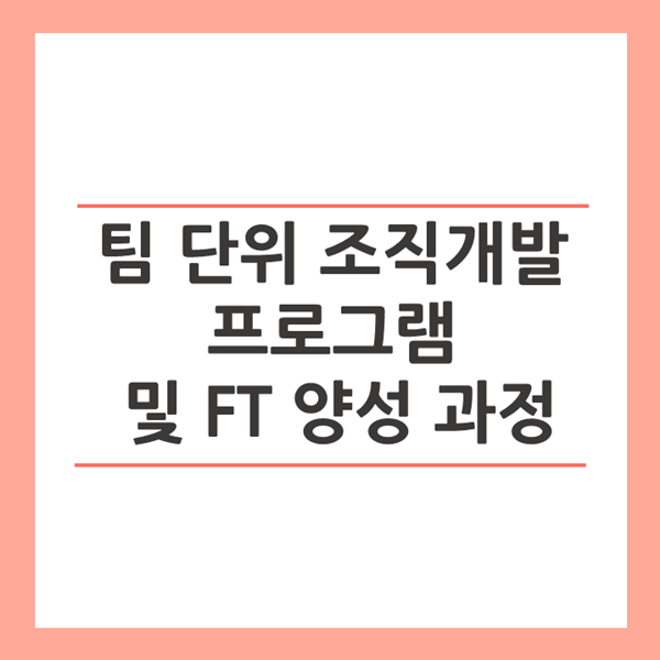  [조직개발] H그룹, 팀 단위 조직개발 프로그램 파일럿 및 FT 양성 프로그램 운영