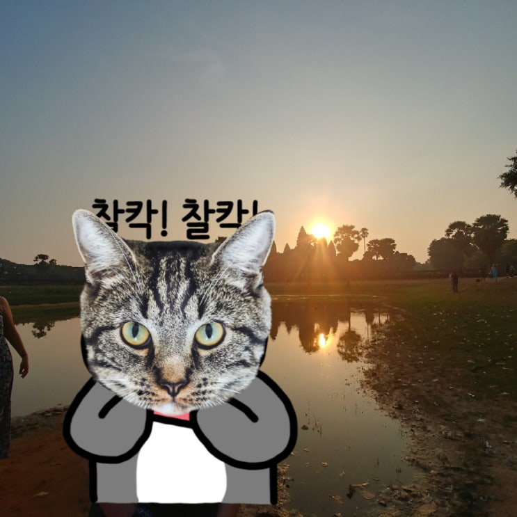 캄보디아 혼자여행 앙코르와트 선라이즈 투어와 앙코르국립박물관 추천, 씨엠립 나이트마켓 후기