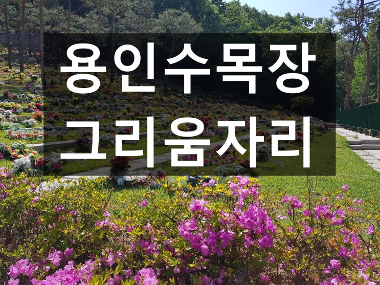  용인수목장 가격이 저렴한 자연장 입니다.