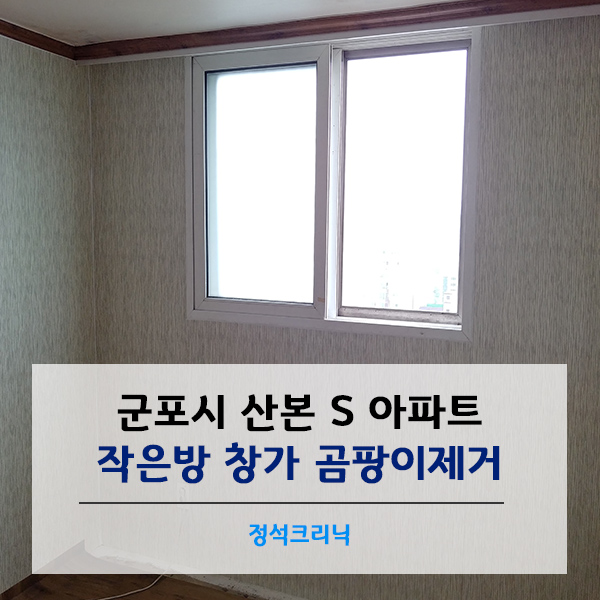  군포시 곰팡이제거 _ 산본 S아파트 작은방 창가 작업현장