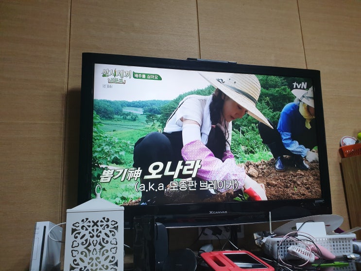  삼시세끼 산촌편 오나라 요리실력도 좋고 배추도 잘 심고.*^^*
