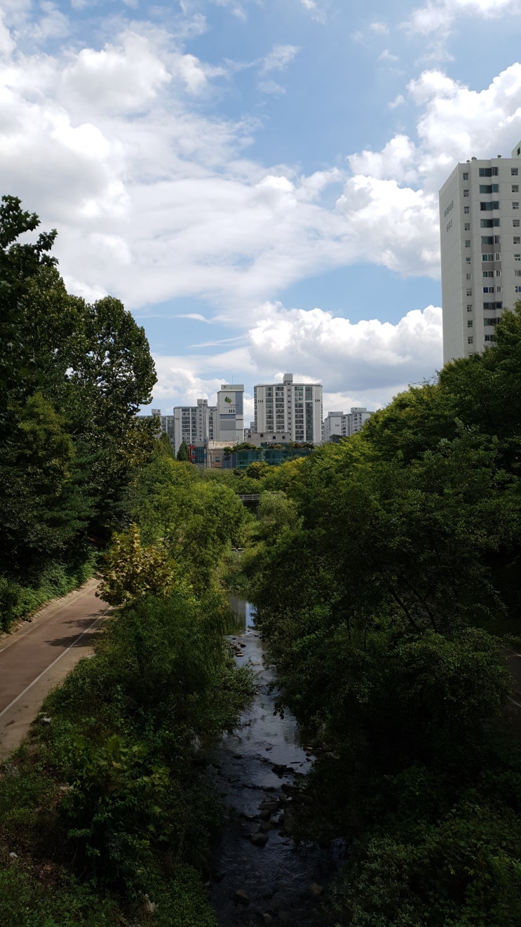  2019.08.30 오후풍경.