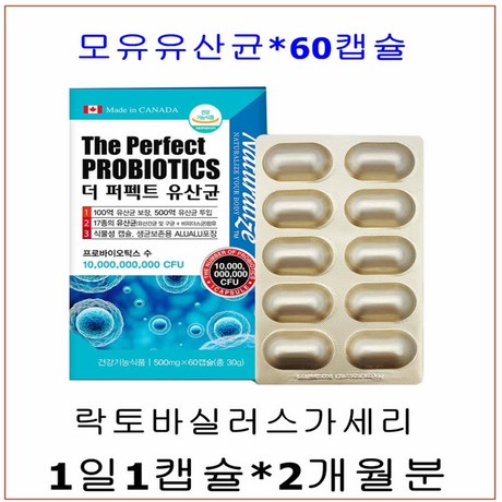  내추럴라이즈 프로바이오틱스유산균 락토바실러스가세리 17 종 프롤린유산균 비만세균 뚱보균 프리바이오틱스 유산균17 불가리쿠스 식이섬유 장케어 장유익균 배변활동 장까지살아가는 식물성캡슐 60캡슐 500mg