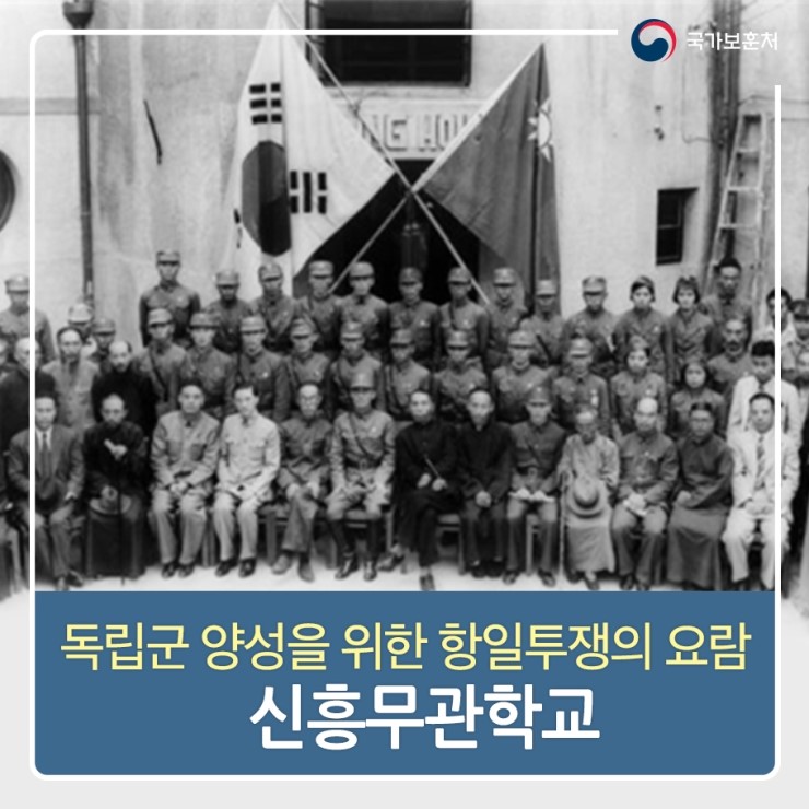  113. 국외 이주 동포의 활동
