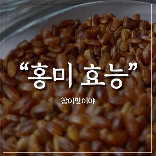  홍미효능 알아보자! : "홍미"편