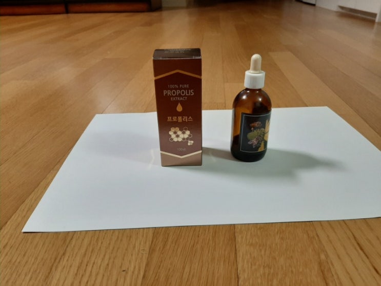  프로폴리스