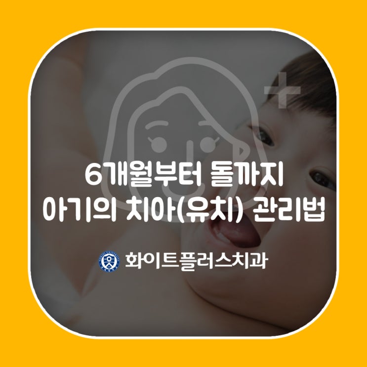 6개월부터 돌까지 유치가 나기 시작하는 아기의 치아 관리법