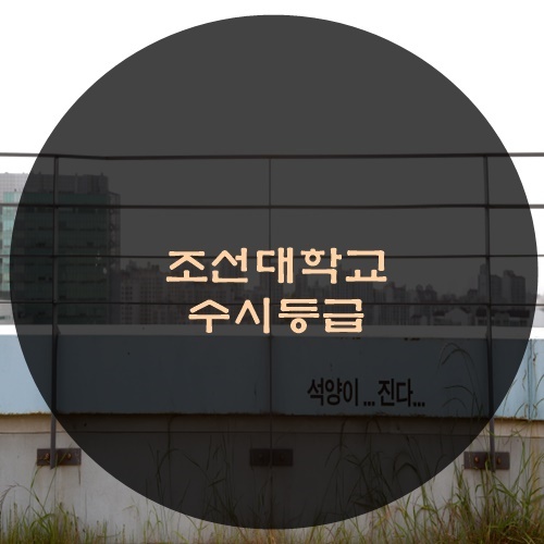  조선대학교 수시등급 전년도 수시등급컷은?