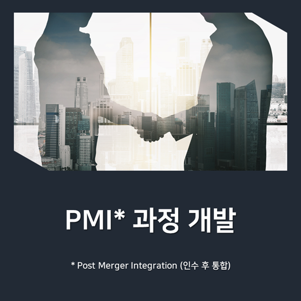 [임원][팀장] H그룹, PMI(Post Merger Integration)과정 개발