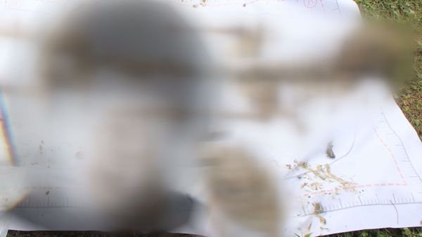 <궁금한 이야기Y> 한별이를 죽인 쟝첸과 이선생, 황당한 참교육 시리즈 <궁금한 이야기Y> 한별이를 죽인 쟝첸과 이선생, 황당한 참교육 시리즈