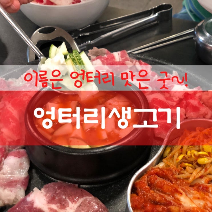  세종시 아름동 맛집/ 엉터리생고기