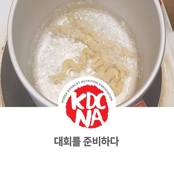  [반려동물 영양 전문가 양성] 펫푸드를 활용한 농식품 대회를 준비하다_59