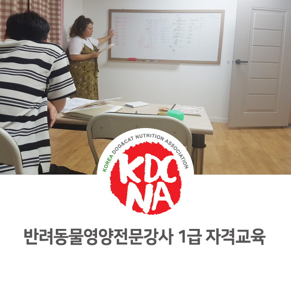  [반려동물 영양 전문가 양성 자격 교육] 반려동물영양전문강사 자격 교육 1급 과정 후기 _58