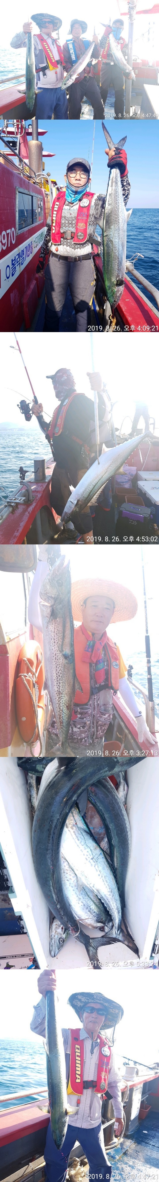  <포항대삼치>이빨부대 소탕작전! 오늘오후2시 예약중!!