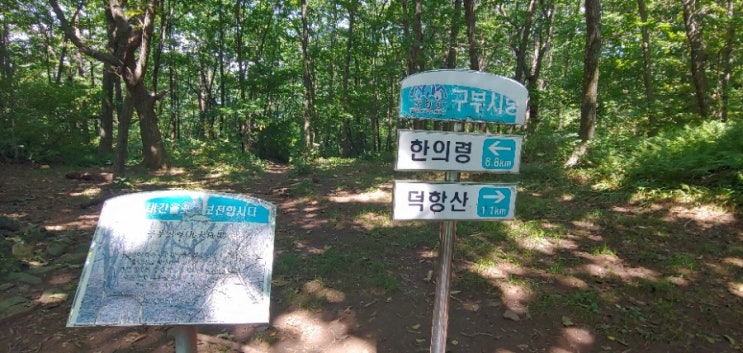  블랙야크 명산 100 도전 : 40. 삼척 덕항산
