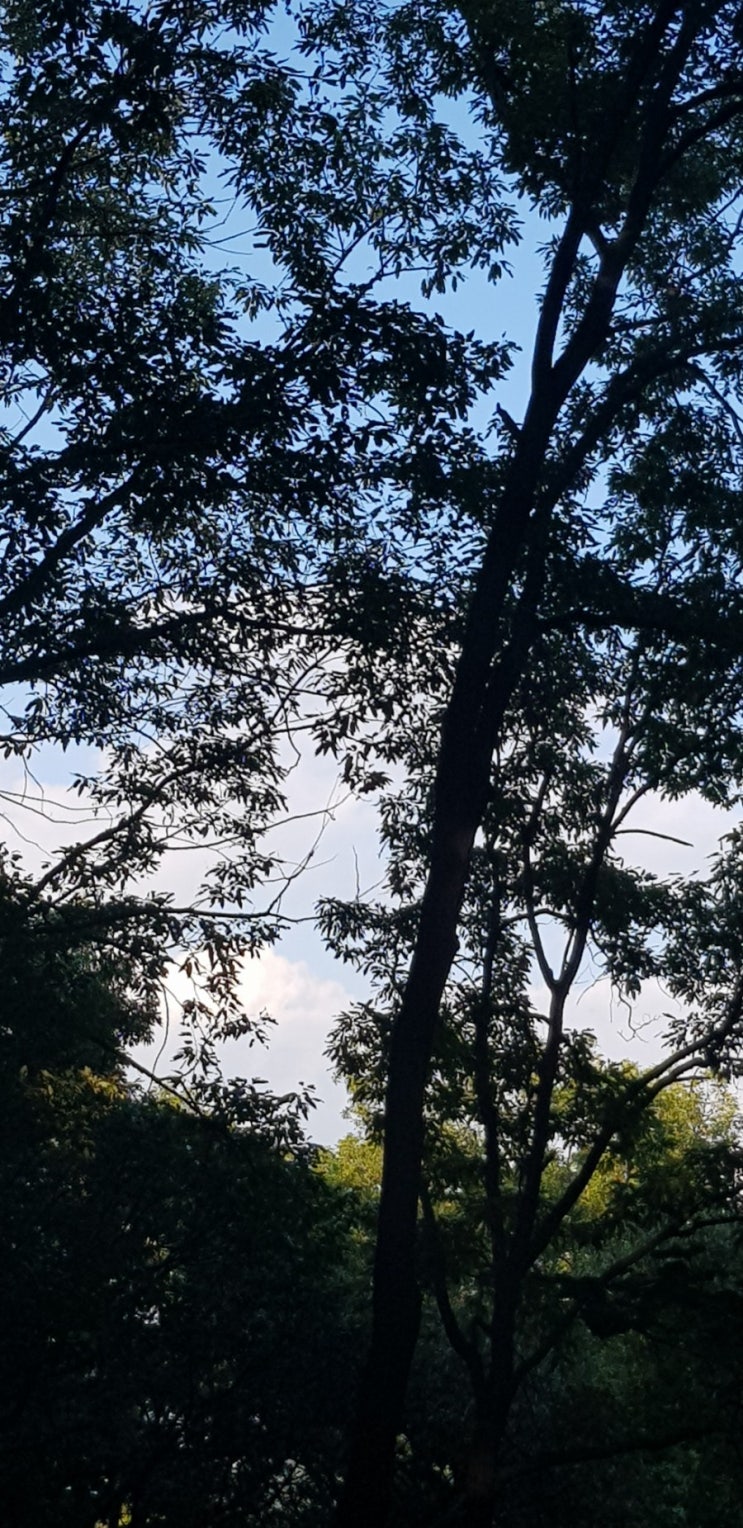  삼성, 이재용 부회장 재판 관련 첫 공식 입장문 낸 까닭은?