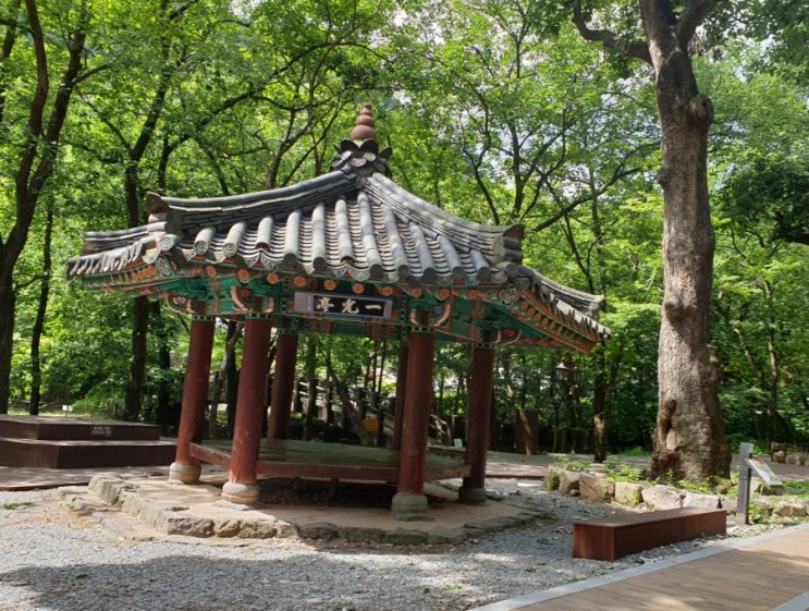  장성 백양사 나들이 했어용