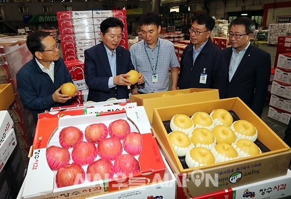 농협 김병원 회장, 추석 성수품 수급상황 점검 현장경영