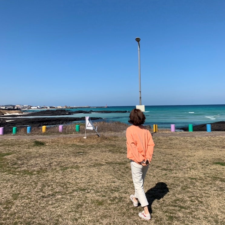  19.03.24 제주도 셋째날