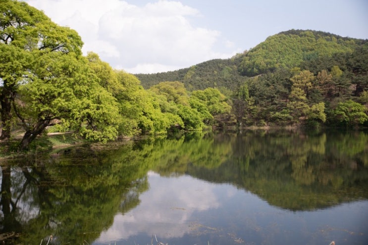  경북 가볼만한곳, 2019년 상반기 총결산