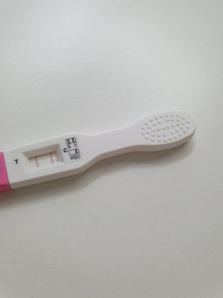  하니가 먼저 알아 본 동생의 존재 :: 임신4주, 임신초기, 임신테스트기, 두줄확인, 감사함으로, 생각지도 못한 기쁜 소식, 둘째가 찾아 왔어요