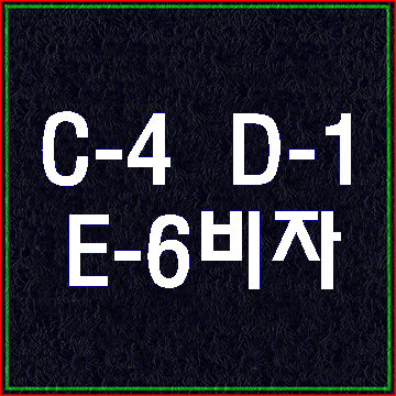  C-4 D-1 E-6비자의 구분