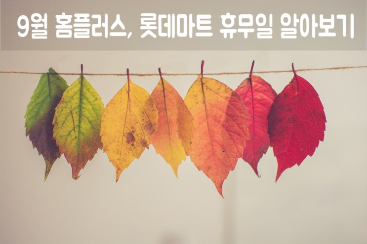  9월 홈플러스 휴무일 롯데마트 휴무일 추석 휴무일 날짜 확인하세요!