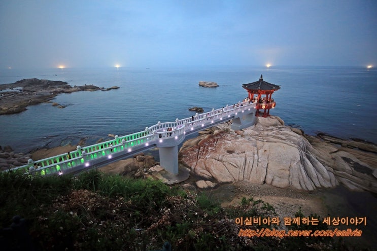  강원도 속초 여행 영금정 & 동명항 회센터 보고 먹고