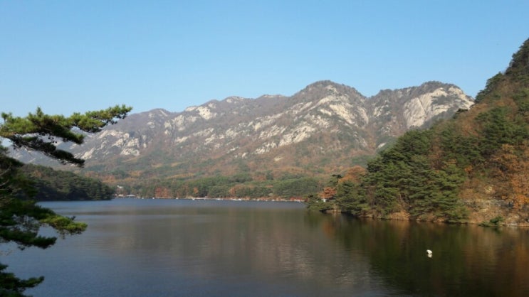  뉴스닷, 흑기사 유시민의 조후보자 감싸기!
