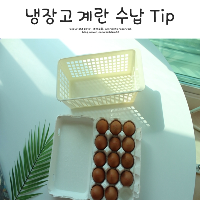 냉장고 계란 수납 보관법 팁! 기존 살림살이 활용해요. 냉장고 계란 수납 보관법 팁! 기존 살림살이 활용해요.