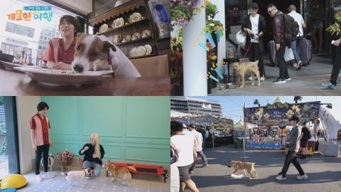  박시후와 봉구의 캐나다 여행기 공개