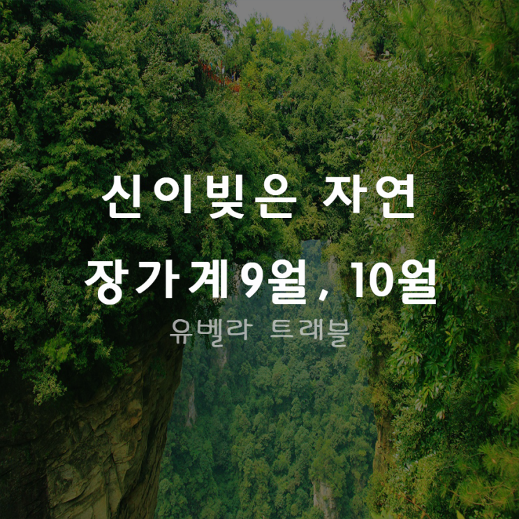  [부산출발] 장가계 3박4일 패키지 자유여행, 장가계 4박5일 패키지 자유여행 9월 10월 부산출발 에어부산