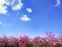  이리저리 뛰어다니는 테니스운동에 대해 알아보기!!