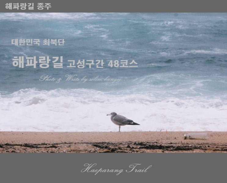  [해파랑길종주] 해파랑길 종주  고성구간 48코스  대한민국 최북단 종주