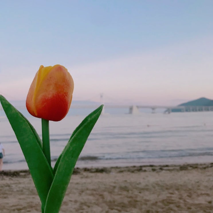  매년 여름 꼭 가는 광안리의 추억들. 러브이즈기빙 소품샵 구경하고, 피자몰 갔다가 지누션 오빠차 공연 본 날.
