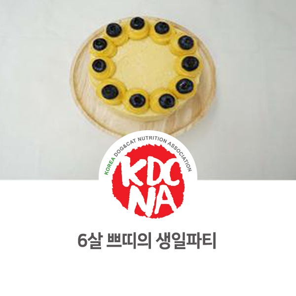  [반려동물 영양 수제간식 창업] 판교 쁘띠푸드 생일 맞이 파티_51