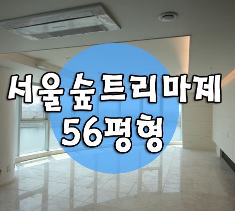 서울숲 트리마제 56평형 연예인들의 하우스