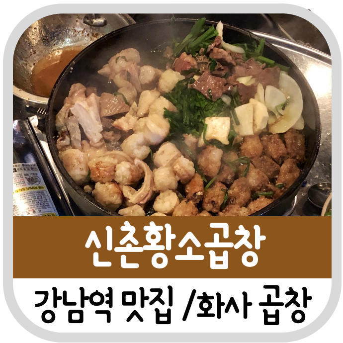  [강남역 맛집]마마무 화사 곱창 60년전통 신촌황소곱창